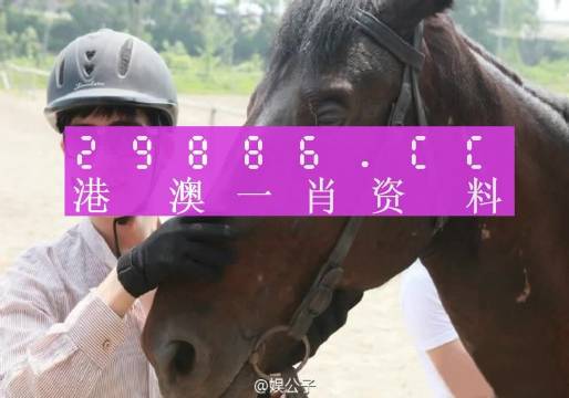 新澳门今晚必中一肖一特-详细解答、解释与落实