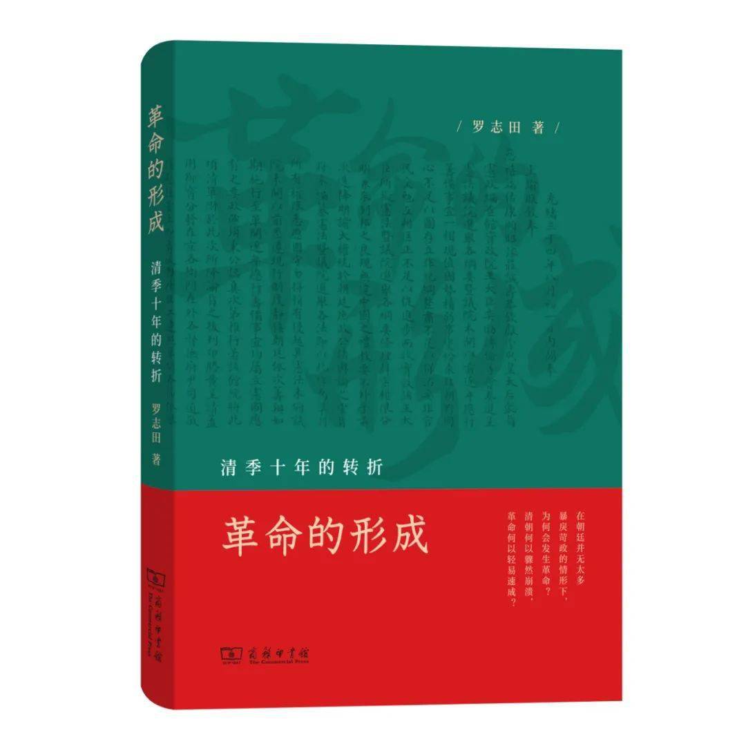 2025年正版资料免费大全中特,和平解答解释与落实展望